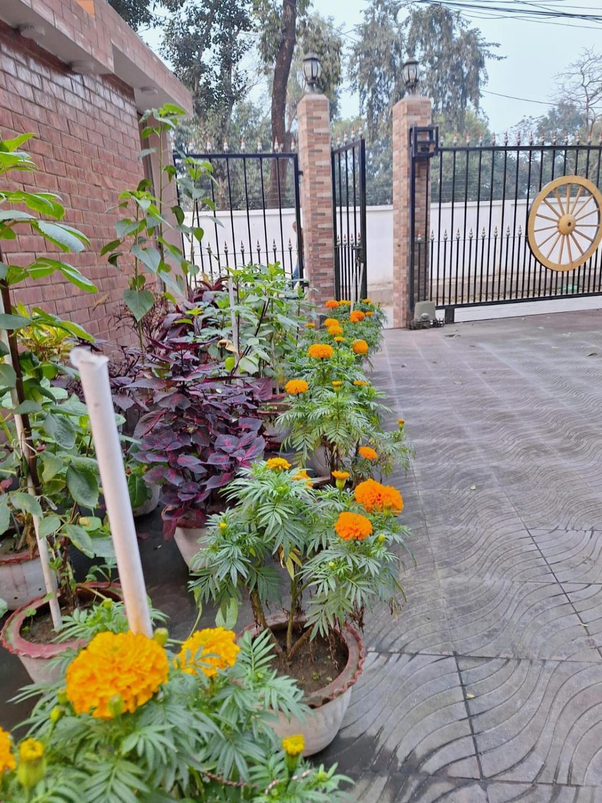 Little Rangpur Inn المظهر الخارجي الصورة